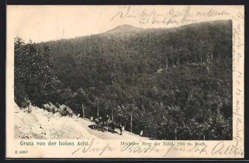 AK Hohe Acht, Waldlandschaft und Weg am höchsten Berg der Eifel