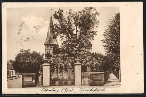 AK Oldenburg /Gr., Kirchhofslinde