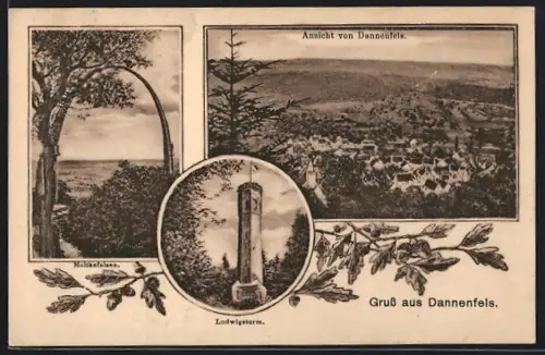 AK Dannenfels, Ludwigsturm, Moltkefelsen, Ortsansicht aus der Vogelschau