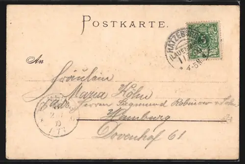 Lithographie Ratzeburg, Ortsansicht vom Wasser aus