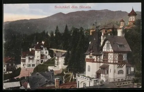 AK Sinaia, Panorama