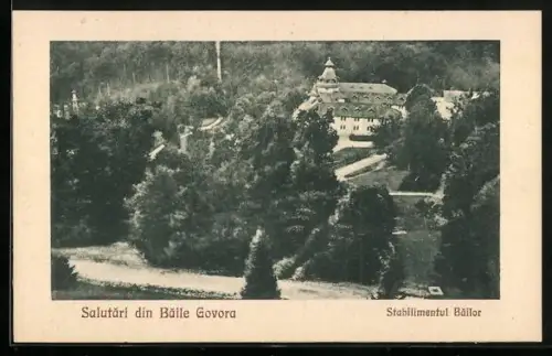 AK Baile Govora, Stabilimentul Bailor