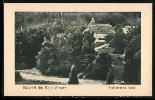 AK Baile Govora, Stabilimentul Bailor