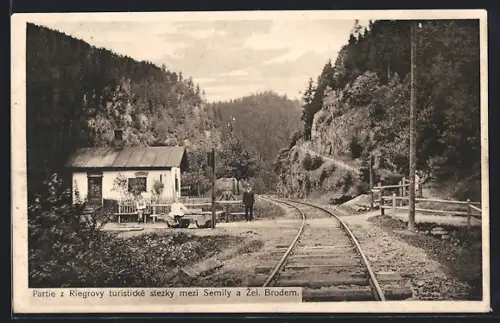 AK Zelezny Brod, Partie z Riegrovy turisticke stezky mezi Semily a Zel. Brodem