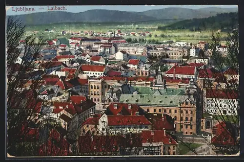 AK Ljubljana, Panorama