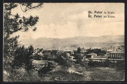 AK St. Peter in Krain, Ortsansicht aus der Ferne