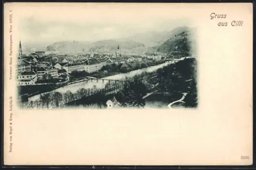 AK Cilli, Flusspartie mit Blick auf den Ort