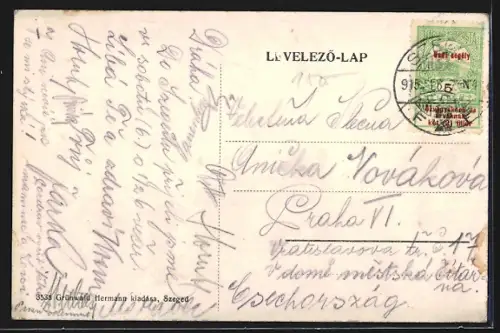 AK Szeged, Tisza-hid