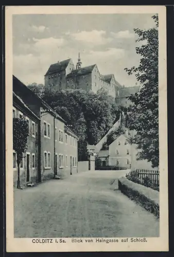 AK Colditz i. Sa., Blick von Haingasse auf Schloss