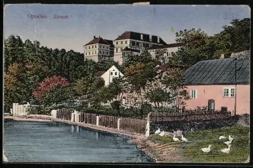 AK Opocno, Zamek
