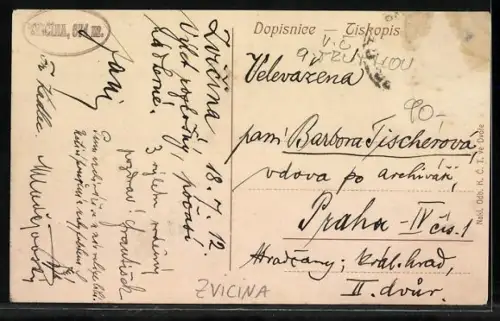 AK Zvicina, V podkrovi studentska nocleharna