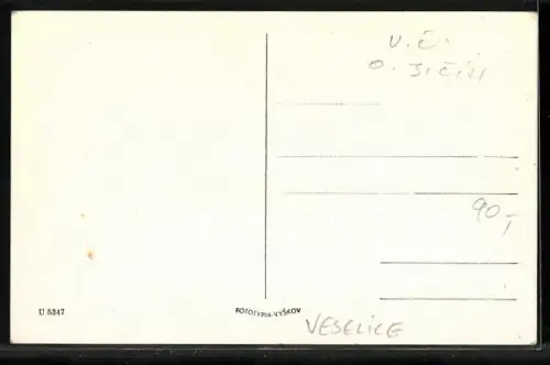 AK Veselice, Kirche, Ortsansicht, Landpartie