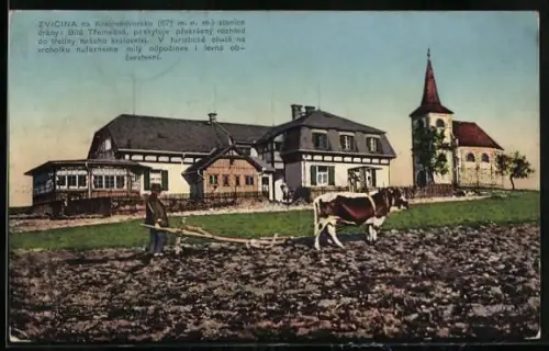 AK Zvicina, Chata K. C. T., Panorama