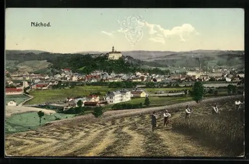 AK Nachod, Panorama