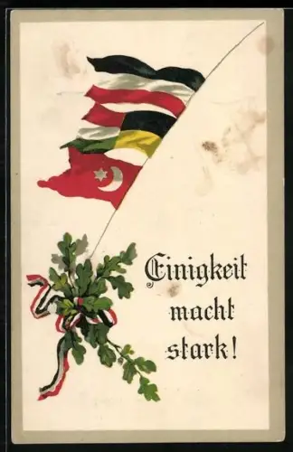 Künstler-AK Türkei, Einigkeit macht stark!, Eichenzweig und türkische Flagge, Zweibund