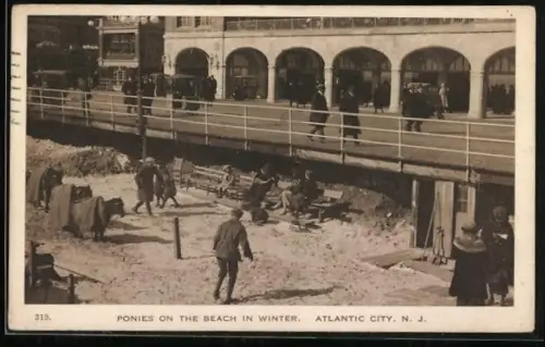 AK Atlantic City, NJ, Ponies on the beach in winter