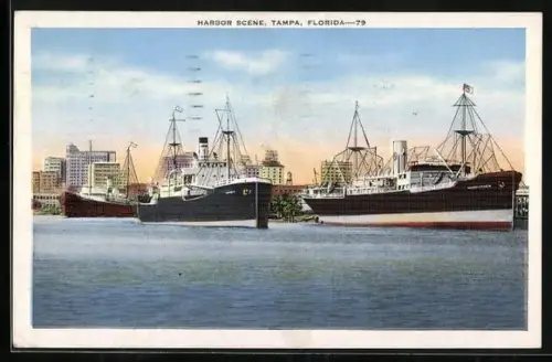 AK Tampa, FL, Harbor Scene