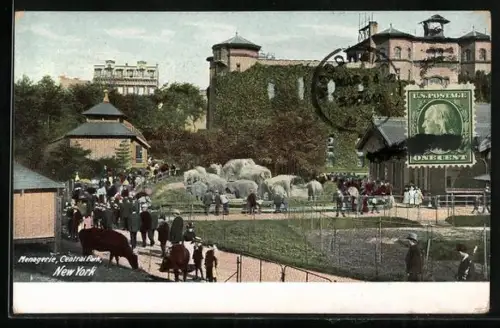 AK New York, NY, Central Park, Menagerie