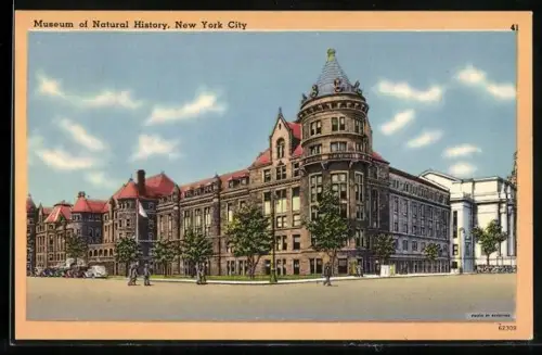 Künstler-AK New York, NY, Museum of Natural History