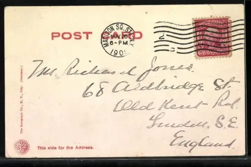 AK New York, NY, Brooklyn, Adelphi Institute