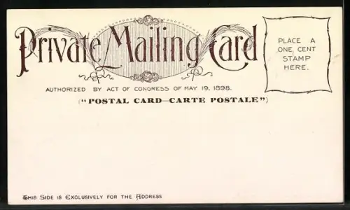 AK New York, NY, St. Patricks Cathedral