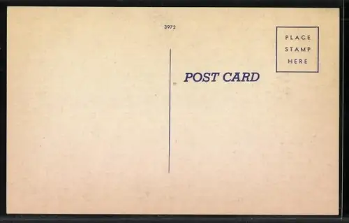 AK New York, NY, Times Square at night