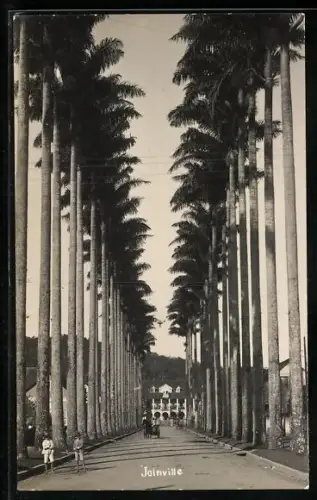 AK Joinville, Strassenpartie mit Palmen