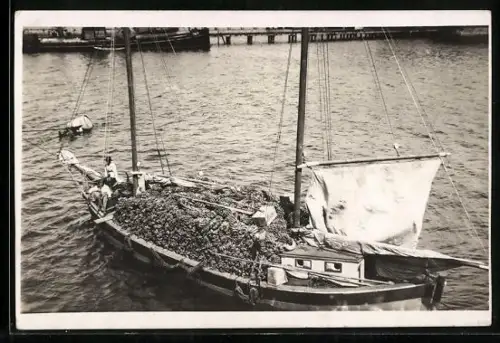 AK Santos, Transporte de bananas