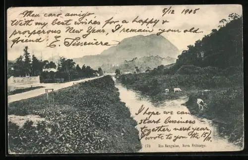 AK Nova Friburgo, Rio Bengalas