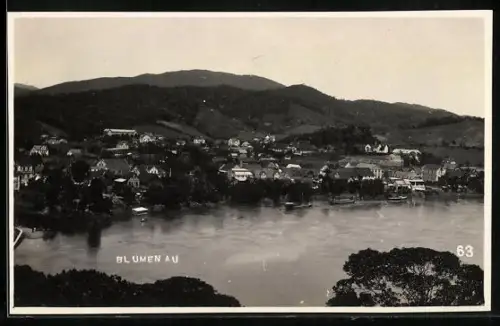 AK Blumenau, Panorama