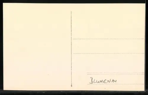 AK Blumenau, Panorama