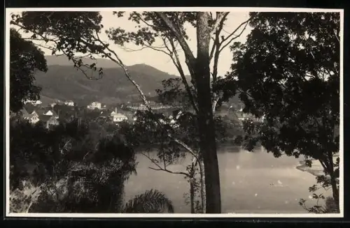 AK Blumenau, Panorama mit Bäumen