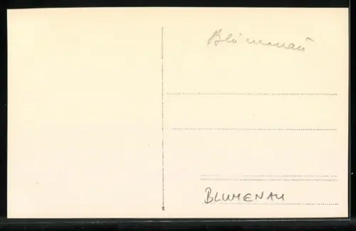 AK Blumenau, Panorama mit Bäumen