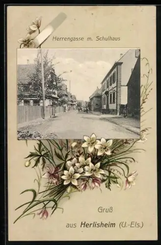 AK Herlisheim /U.-Els., Herrengasse mit Schulhaus