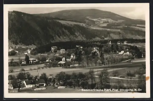 AK Hart /Gloggnitz, Panorama mit Strassenpartie