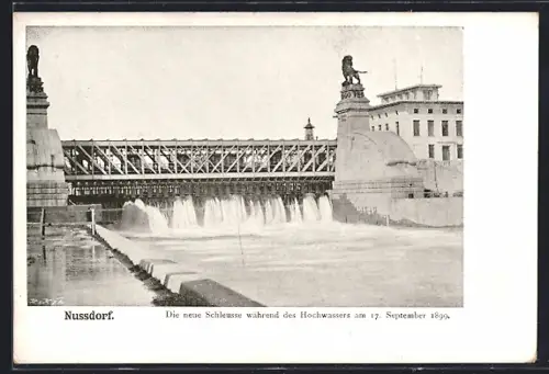 AK Nussdorf, Neue Schleuse während des Hochwassers 1899