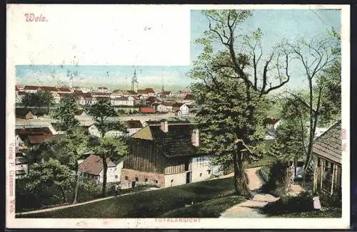 Künstler-AK Wels, Totalansicht