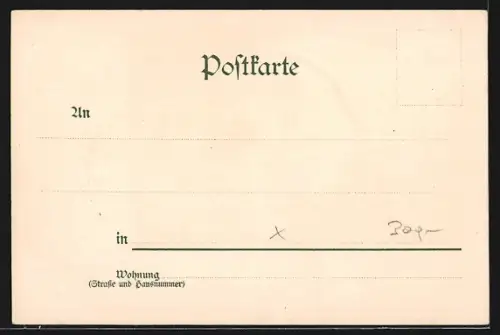 Lithographie Gastein, Blick zum Ort