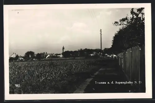 AK Trumau a. d. Aspangbahn, Ortspanorama mit Kirche von einem Feldweg aus