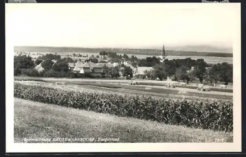 AK Grosswarasdorf /Burgenland, Gesamtansicht vom Feld aus