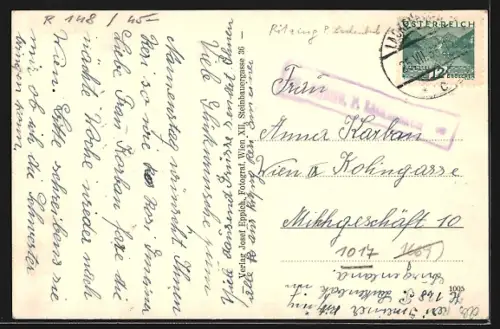AK Ritzing /Burgenland, Ortspanorama mit Feldern und Landstrasse