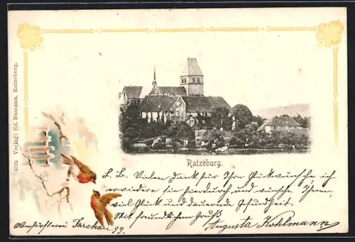 AK Ratzeburg, Ortsansicht mit Rotkehlchen