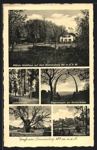 AK Dannenfels /Donnersberg, Gasthof Pfälzer Waldhaus, Ludwigsturm, Siegesbogen a. Moltkefelsen, 500jähr. Kastanienbaum