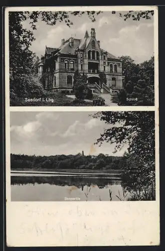 AK Seedorf i. Lbg., Schloss, Seeparktie