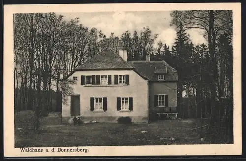 AK Dannenfels, Hotel Waldhaus auf dem Donnersberg