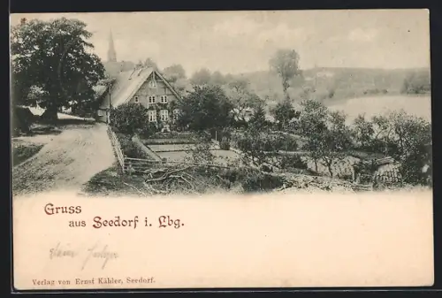 AK Seedorf i. Lbg., Ortsansicht mit Kirche