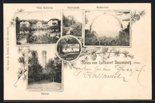 AK Dannenfels, Villa Rotberg, Hirtenfels, Moltkefels, Waldhaus, Turm