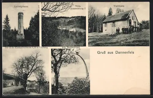 AK Dannenfels, Waldhaus, Villa Donnersberg, Ludwigsturm