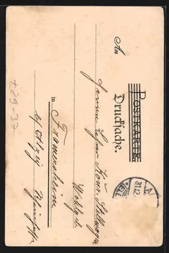 Passepartout-Lithographie Altona-Neumühlen, Villa Donner, Altona-Hamburg, Kaffee-Versandt G. Westphal, Friedenstrasse 73