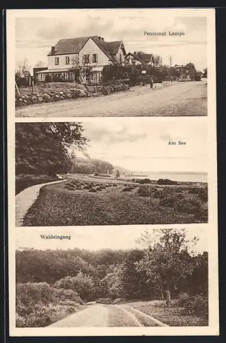 AK Schmilau b. Ratzeburg, Pensionat Lampe, See, Waldeingang